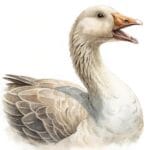 A whimsical goose swimming peacefully on a serene pond surrounded by delicate floral accents