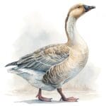 An adorable goose surrounded by a circle of cheerful flowers in soft pastel hues